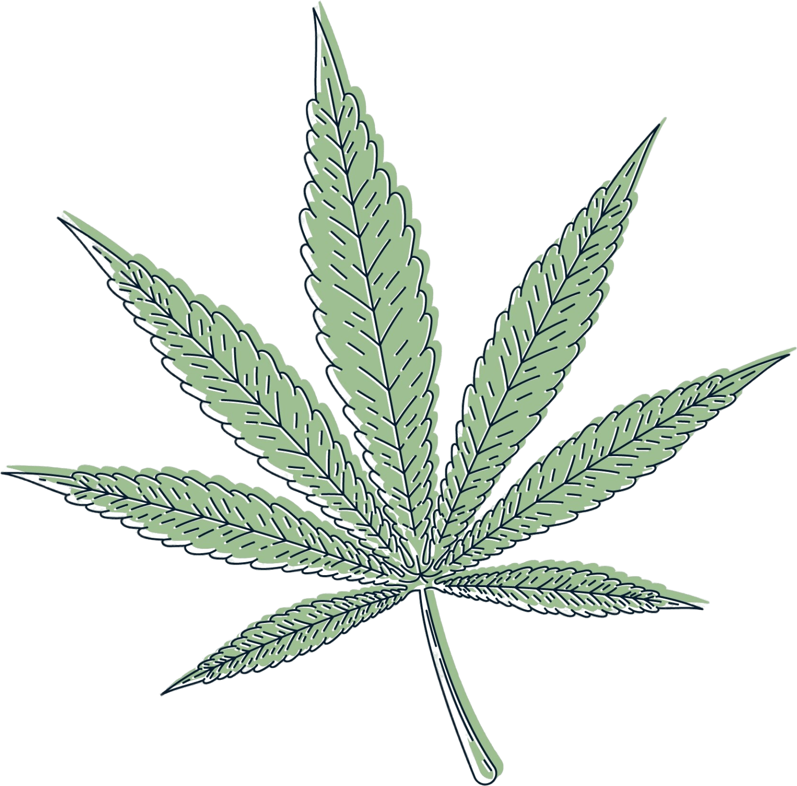 cbd ulje list kanabisa